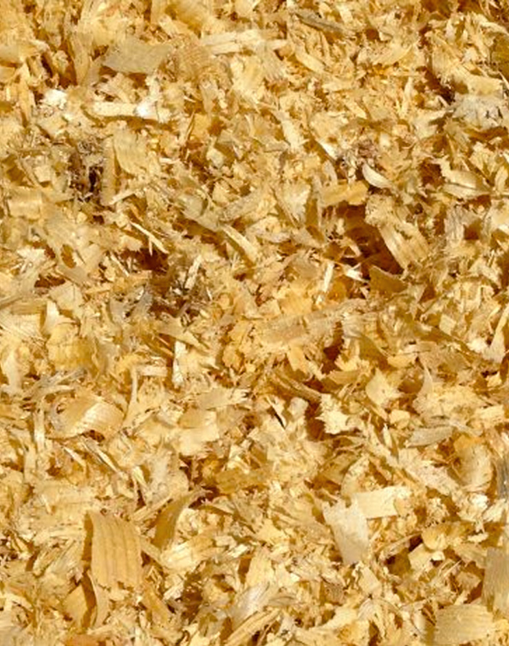 Holz Sägemehl